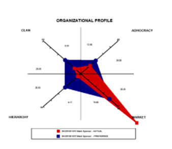 Organizational-Profile-2