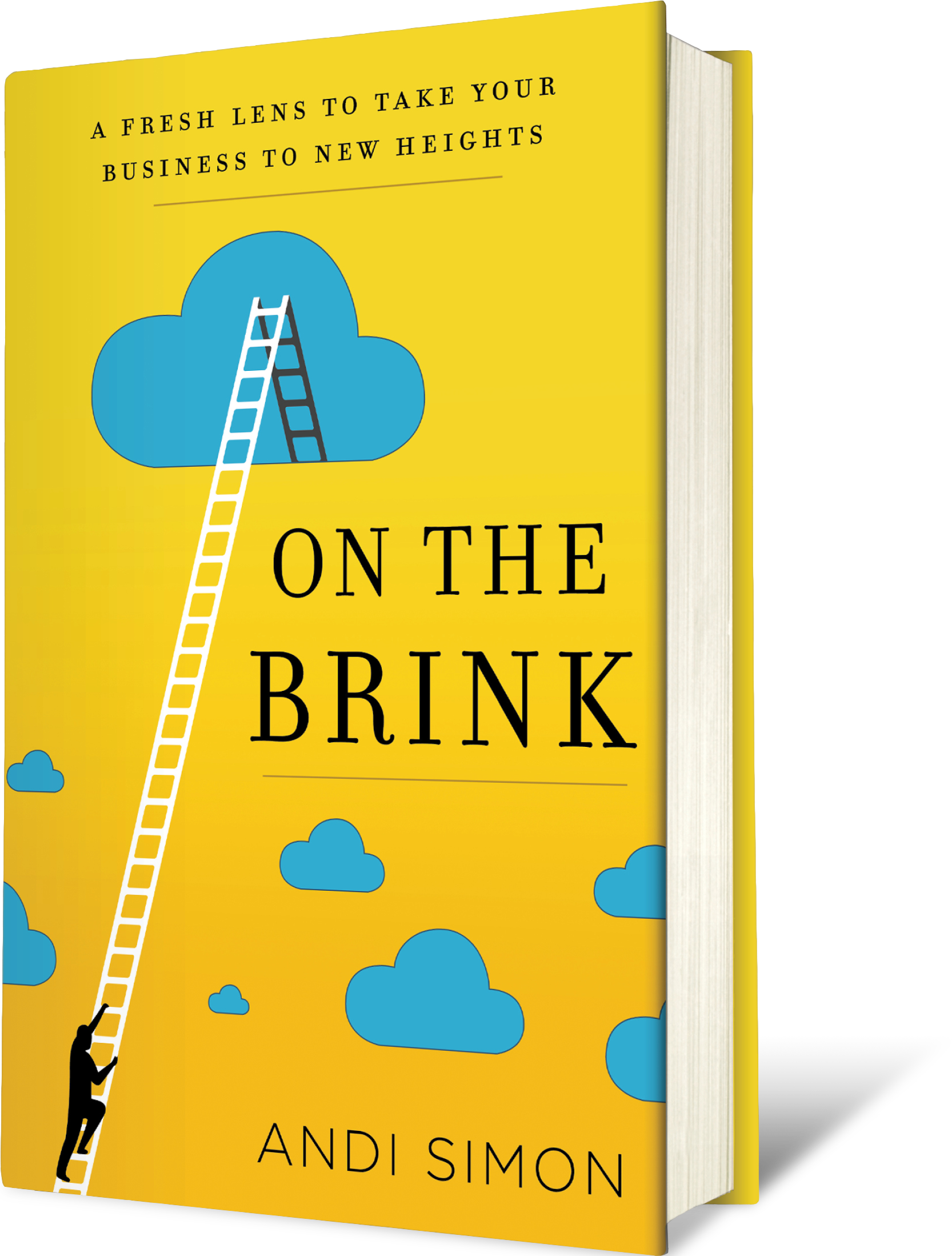 Andi Simon's book "On the Brink: A Fresh Lens to Take Your Business to New Heights"