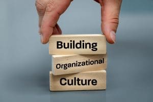 Image of Building Organizational Culture blocks